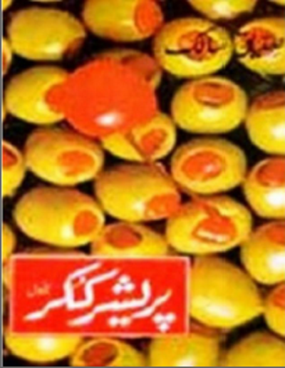 Pressure Cooker Novel by Siddique Salik Pdf